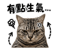847453711