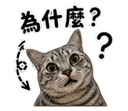 847453718