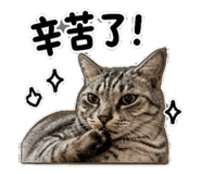 847453722