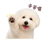 847455609