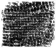 847456778