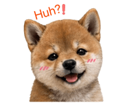 847456866