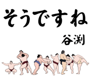 847462798