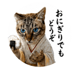 847464799