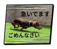 847467225
