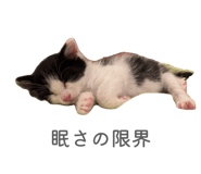 847469778