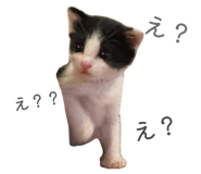 847469779