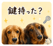 847474682