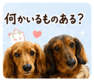 847474683