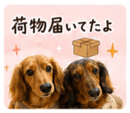 847474684