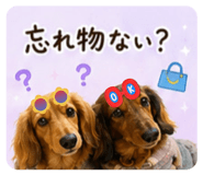 847474685