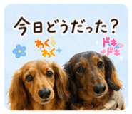 847474689
