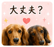 847474690
