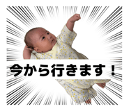 847481362