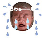 847481367