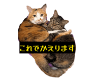 847481774