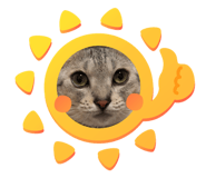847481897