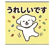 847486955