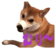 847488761