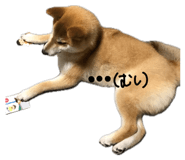 847488764