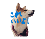 847488766