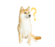 847488768
