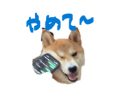 847488770