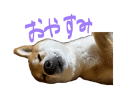 847488771