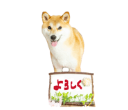 847488773