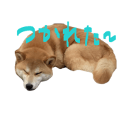 847488775