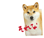 847488777