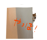847488778