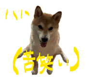 847488779