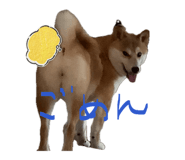 847488780