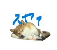 847488781