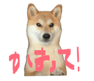 847488782