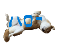 847488783