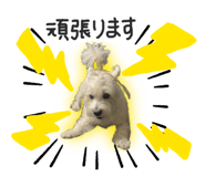 847490240