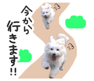 847490247