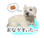847490256
