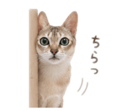 847492802