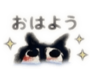 847495568
