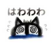847495575