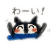 847495576
