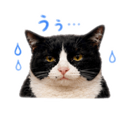 847496861