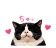 847496867