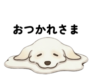 847501442