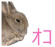 847501465