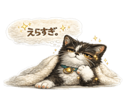 847503056