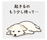 847503081